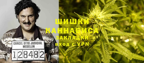 индика Алексеевка