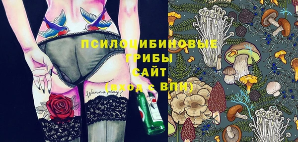 героин Алексин